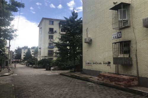 南厂住宅 中区 优点 不足,南厂住宅 中区 怎么样,南厂住宅 中区 周边房产中介经纪人评价