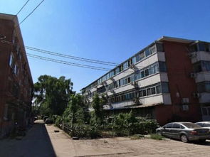 奶牛厂宿舍优点 不足,奶牛厂宿舍怎么样,奶牛厂宿舍周边房产中介经纪人评价