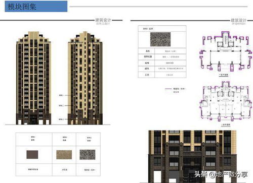 标杆房企产品线深度解析 67页课件助力房地产经纪专业提升